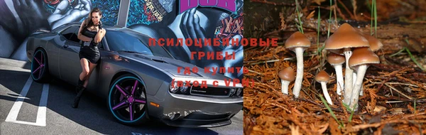 Альфа ПВП Алексеевка