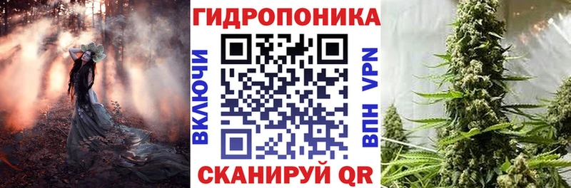 сколько стоит  Апшеронск  Бошки марихуана Bruce Banner 